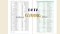 do a web research and data cleaning