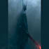horror dark kinght cursed warrior