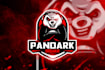 do professional panda logo design for businesses