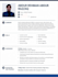 design professional ats resume and CV