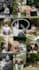 do professional wedding photo editing and colour correction