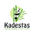 do make an modern custom panda logo
