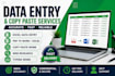 do fast data entry and copy typing