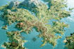 design board game maps fantasy 2d map battle map