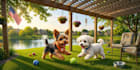 create cute animal illustrations
