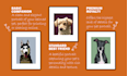 do digital pet portraits vector illustration
