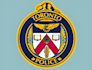 design stunning military patch, logo and badge
