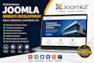 build, redesign, customize, fix develop, a professional joomal website