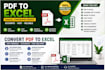 manually convert PDF to excel