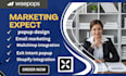 setup wisepops popup personalization email capture conversion optimization