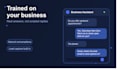 develop a custom ai chatbot for your business website