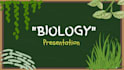 design professional canva presentations and study notes