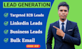 collect data entry linkedin leads b2b gen