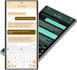 custom web and mobile development