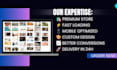 design conversion shopify store, premium theme, speed setup in 24h