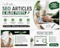 write SEO articles and blog posts