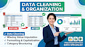 clean organize and analyze excel data