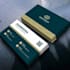 design a professional business card and logo design