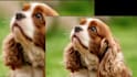convert low quality images into high resolution