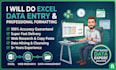 do excel data entry and professional formatting
