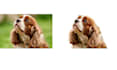 remove backgrounds and create transparent png files