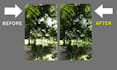 do expert bulk image background removal, image editing