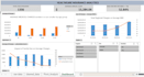 expert excel data analysis, data cleaning, and dynamic dashboard creation