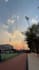 be your professional nature and landscape photographer