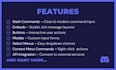 make a professional custom coded discord bot