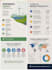 design modern professional infographics