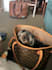 create authentic pet related content