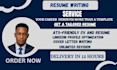 write a professional resume and executive CV