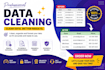 do perfect data cleaning in limited time