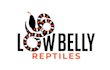 design professional aquatic, reptile logo
