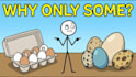 create stickman videos like zenn, axen, and paint explainer
