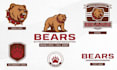 design cartoon logo and branding kit with brand identity