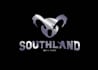 create a premium koala logo with custom concepts