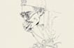 draw a detail vector line art illustrations