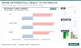 analyze bulk rna seq and gene expression data