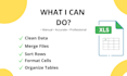 clean, and format your excel spreadsheet professionally
