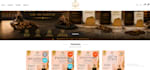 a professional shopify ecommerce website or online store