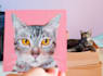 hand paint your pet