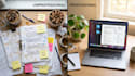 write clear technical documentation, sops, and runbooks