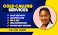 scrape yellow pages, google map scraping, web scraper, USA business leads