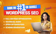 do a complete SEO audit and optimize your wordpress website