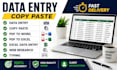 do data entry and copy paste