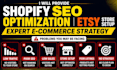 provide shopify SEO optimization etsy store setup expert e commerce strategy