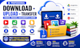 provide professional uploading and download services