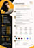design modern and ats cv