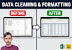 clean analyze and visualize excel data